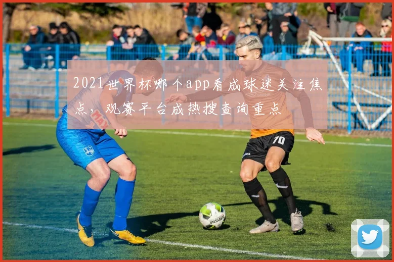 2021世界杯哪个app看成球迷关注焦点，观赛平台成热搜查询重点