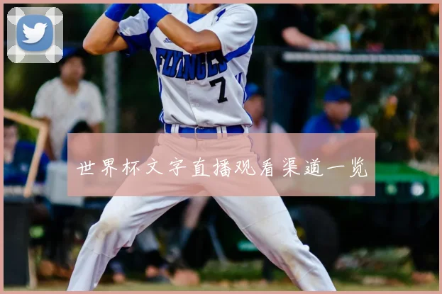 世界杯文字直播观看渠道一览