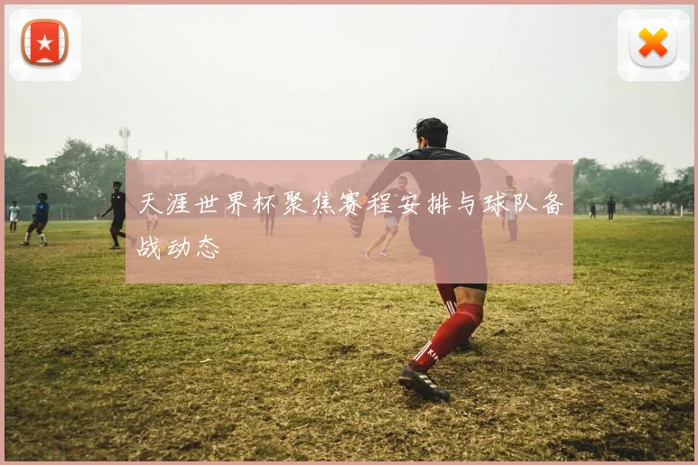 天涯世界杯聚焦赛程安排与球队备战动态