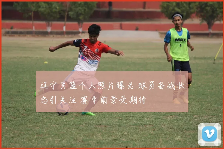 辽宁男篮个人照片曝光 球员备战状态引关注 赛季前景受期待