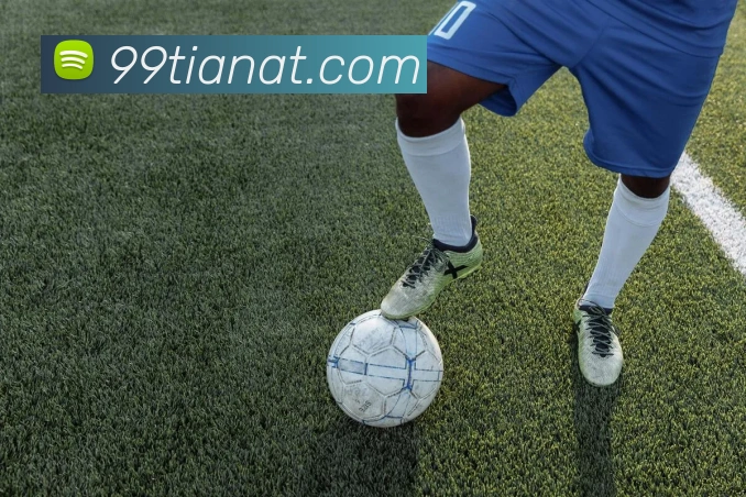 半岛平台发展历程